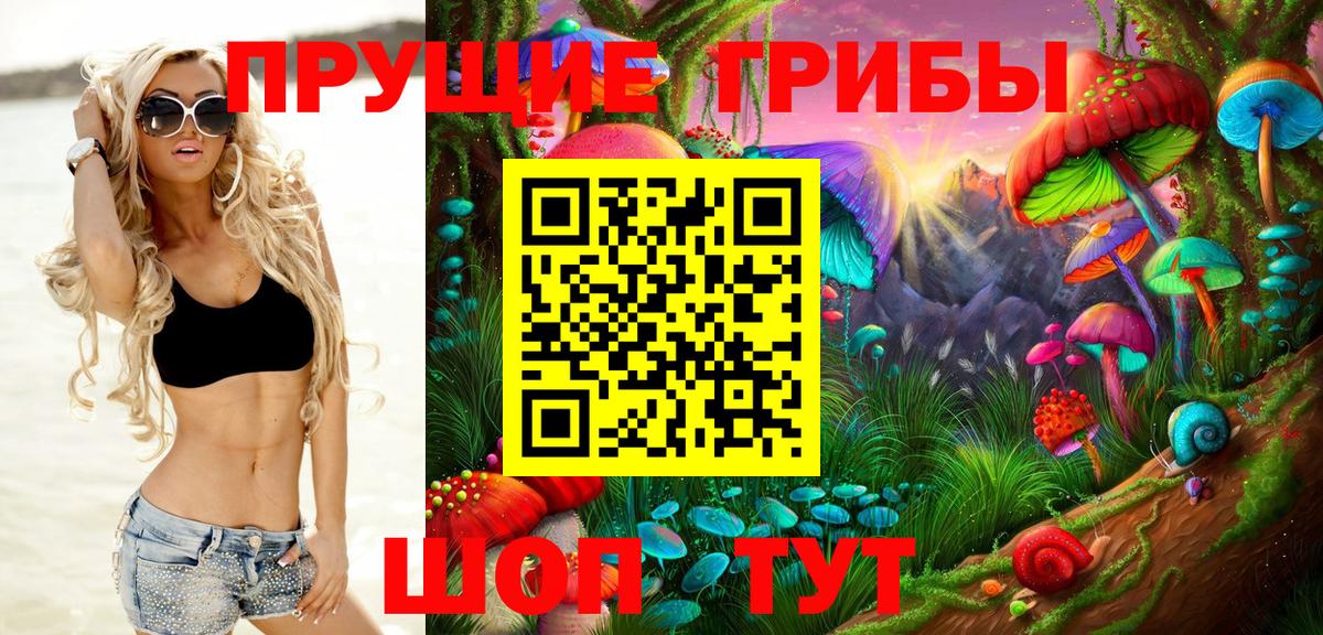 Галлюциногенные грибы Cubensis Сибай